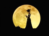 寶寶生辰八字起名入門知識匯總